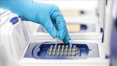 Việt Nam và Vương quốc Anh sẽ hợp tác giải trình tự gene biến thể virus