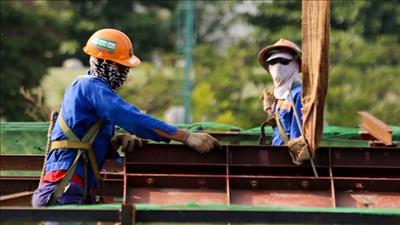 Sự nóng lên toàn cầu ảnh hưởng đến năng suất lao động
