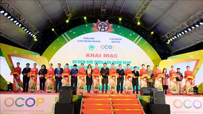 Hà Nội tổ chức giới thiệu sản phẩm OCOP gắn với văn hóa các tỉnh, thành