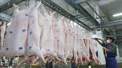 Quản lý an toàn thực phẩm bền vững theo chuỗi
