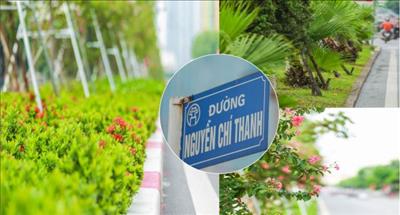 Hà Nội, những cung đường xanh