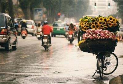 Mưa rào và dông giúp không khí tại Hà Nội duy trì ở mức trung bình và tốt