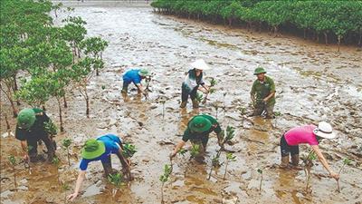 Việt Nam là thành viên Liên minh Hành động chuyển đổi về biến đổi khí hậu và sức khỏe