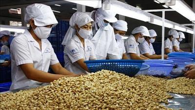 Đưa nông sản Việt Nam vào thị trường Anh
