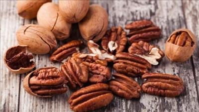 Những thực phẩm bổ dưỡng cho sĩ tử mùa thi