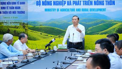 Xây dựng chuỗi giá trị ngành hàng thủy sản bền vững