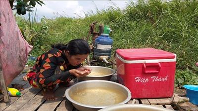Cà Mau cần 311 tỉ đồng để trữ nước ngọt ứng phó với hạn hán, ngập mặn