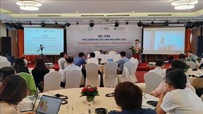 Đẩy mạnh phát triển ngành quế bền vững