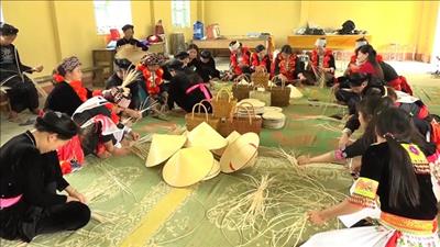 Hỗ trợ lao động nữ trong hợp tác xã phát triển kinh tế