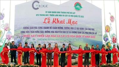 Đà Lạt khai mạc không gian trưng bày, triển lãm hoa quốc tế