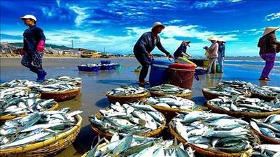 Chương trình quốc gia về khai thác thủy sản hiệu quả, bền vững