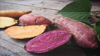 Món ăn thuốc từ khoai lang