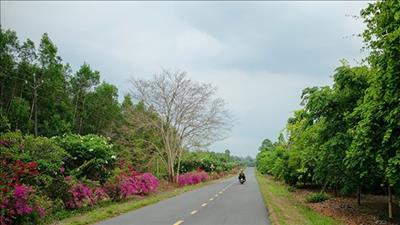 Đồng Nai phát triển du lịch sinh thái, nghỉ dưỡng tại khu bảo tồn thiên nhiên văn hóa