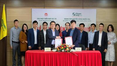 Hợp tác phát triển kinh tế nông nghiệp tập thể