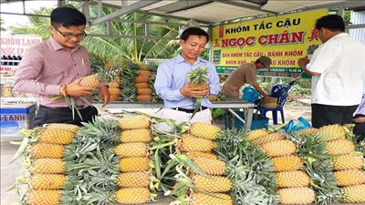 Kiên Giang phát triển nông nghiệp sạch thích ứng với biến đổi khí hậu