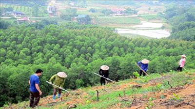 Gắn bảo tồn thiên nhiên, đa dạng sinh học với phát triển kinh tế - xã hội