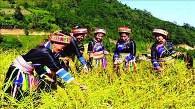 Phó Thủ tướng Lê Minh Khái làm Trưởng Ban Chỉ đạo quốc gia về kinh tế tập thể