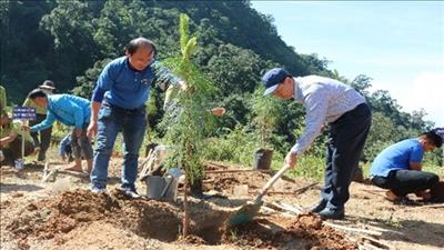 Kon Tum thực hiện Quy hoạch bảo vệ môi trường quốc gia