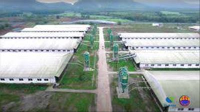 Kon Tum: Dự án nông nghiệp ứng dụng công nghệ cao có quy mô trên 200 ha