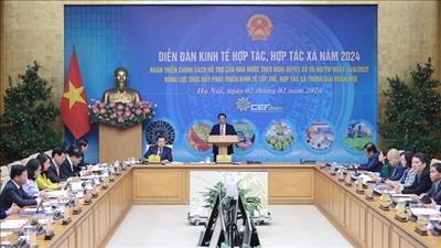 Tiếp tục đổi mới, phát triển và nâng cao hiệu quả kinh tế tập thể