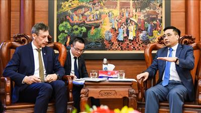 Ngành nông nghiệp đề xuất hợp tác phát triển rừng bền vững