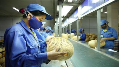 Thị trường lao động đang có dấu hiệu phục hồi