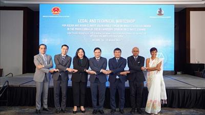Tham gia hiệu quả vào thủ tục ý kiến tư vấn của Tòa án Công lý quốc tế về biến đổi khí hậu