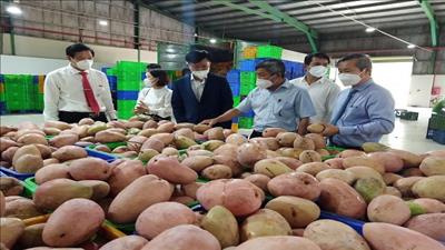 Đồng Nai xuất khẩu lô nông sản chế biến đầu tiên sang Nga, Hàn Quốc