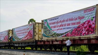 Tăng cường kết nối logistics thúc đẩy phát triển nông nghiệp, nông thôn