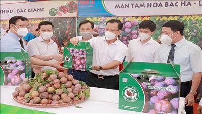 Kết nối giao thương nông sản giữa Bắc Giang, Lào Cai, Sơn La