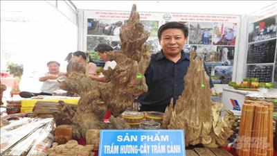Sử dụng 
