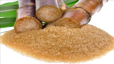 Phát triển ngành mía đường Việt Nam trong tình hình mới
