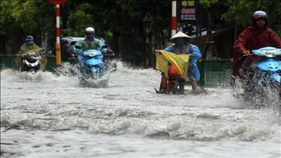 TPHCM chỉ đạo công tác phòng chống mưa bão