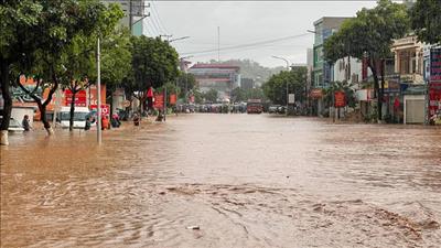 Các tỉnh miền núi phía Bắc khẩn trương ứng phó với mưa lớn