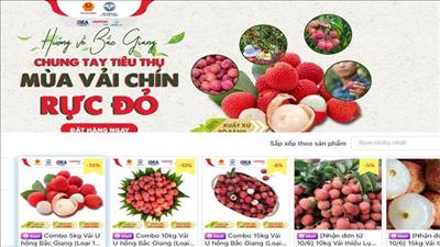 Kết nối tiêu thụ vải thiều trong nước hưởng ứng xu hướng tiêu dùng hàng Việt Nam