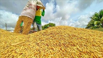 Xây dựng sàn giao dịch thương mại điện tử theo mô hình kinh tế tuần hoàn