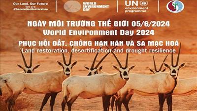 Tổ chức hoạt động hưởng ứng Ngày Môi trường thế giới và Tháng hành động vì môi trường 2024