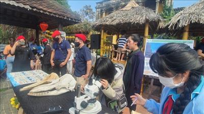 Đại sứ quán Anh cùng Hội An chung tay bảo vệ môi trường
