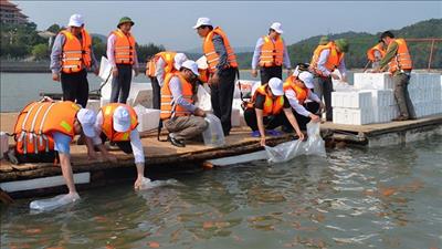 Đánh giá tổng thể nguồn lợi thủy sản hướng tới phát triển bền vững