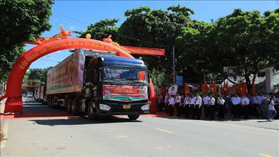 Sơn La xuất khẩu nhãn ra thị trường quốc tế