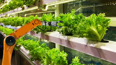 TPHCM hướng tới phát triển các mô hình nông nghiệp công nghệ cao, thích ứng biến đổi khí hậu