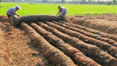 Lồng ghép các tiêu chí kinh tế tuần hoàn trong phát triển ngành nông nghiệp