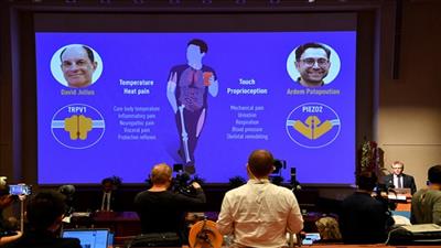 Hai nhà sinh học Mỹ thắng giải Nobel Y sinh 2021
