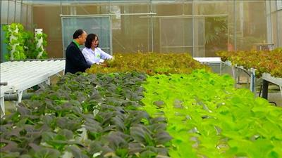 Thanh Hóa: Chuyển đổi số để sản xuất nông nghiệp công nghệ cao