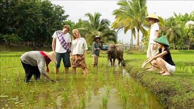 TPHCM khuyến khích phát triển sản xuất nông nghiệp tích hợp đa giá trị