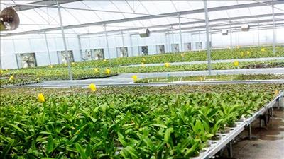 Hướng tới nền nông nghiệp hiện đại nhờ ứng dụng khoa học công nghệ