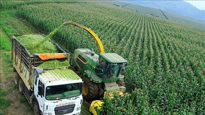 Phát triển ngành nông nghiệp hiệu quả cao tại Việt Nam