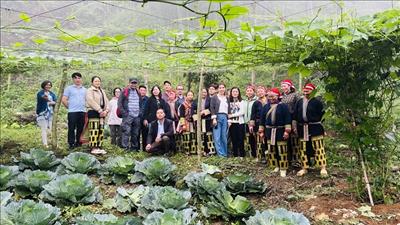 Phát triển sản xuất nông nghiệp gắn với xây dựng hệ thống lương thực thực phẩm bền vững