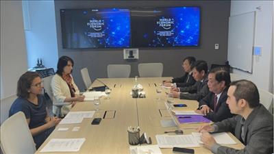 WEF hỗ trợ Việt Nam đảm bảo vấn đề an ninh lương thực và bền vững môi trường