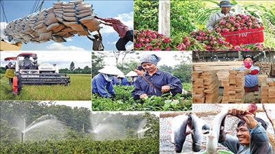 Ngành nông nghiệp đóng góp trên 10 tỷ USD vào xuất siêu
